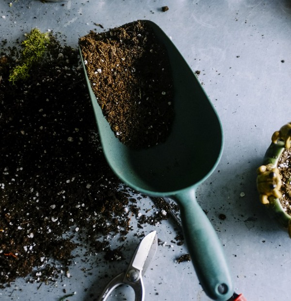 Gardening tools and potting soil